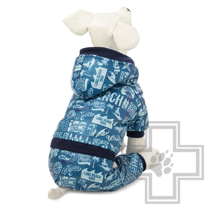 TRIOL Комбинезон зимний "Прогулка", синий с рисунком