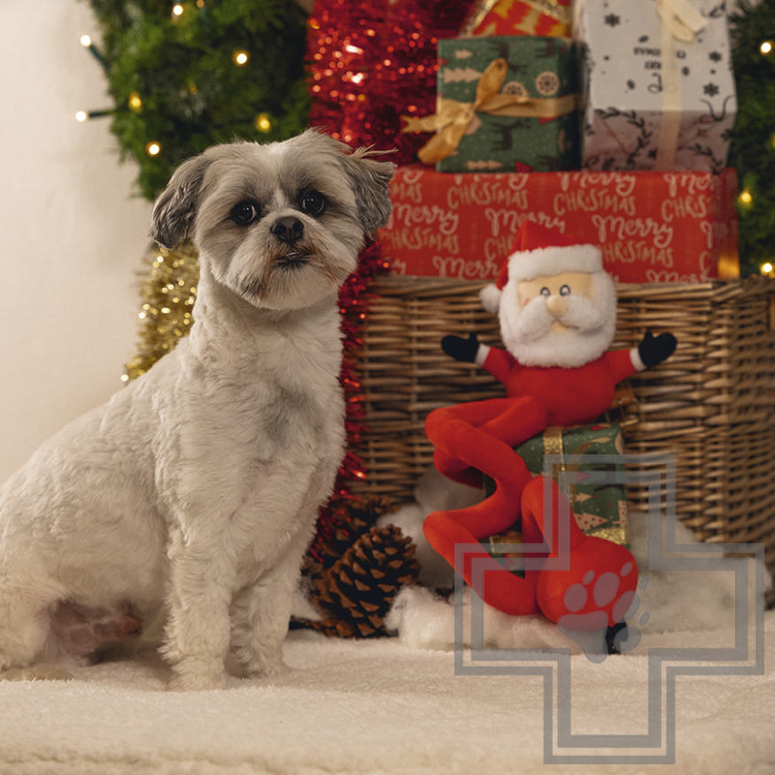 Beeztees Игрушка плюшевая "Санта спираль" для собак