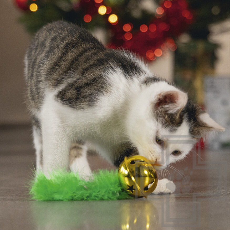 Beeztees Игрушка "Рождественский колокол с пером" для кошек, зеленая