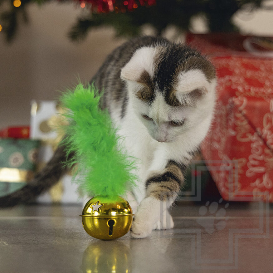 Beeztees Игрушка "Рождественский колокол с пером" для кошек, зеленая