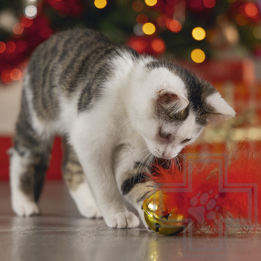 Beeztees Игрушка "Рождественский колокол с пером" для кошек, красная