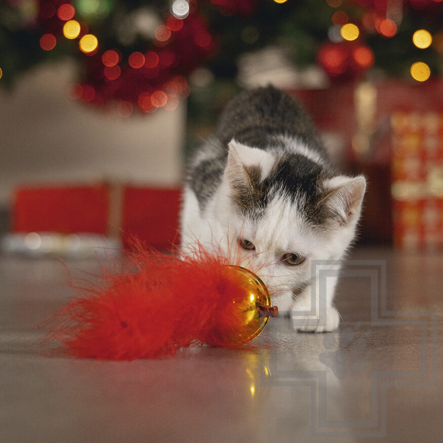 Beeztees Игрушка "Рождественский колокол с пером" для кошек, красная