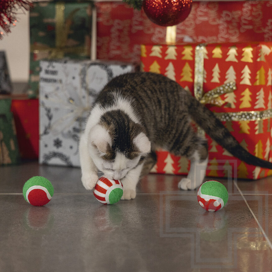 Beeztees Игрушка "Шарики Рождественские" для кошек