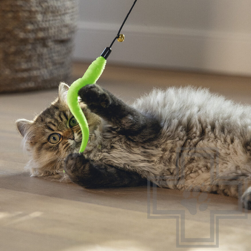 Beeztees Игрушка-удочка "Гусеница" для кошек Beeztees Игрушка-удочка "Гусеница" для кошек