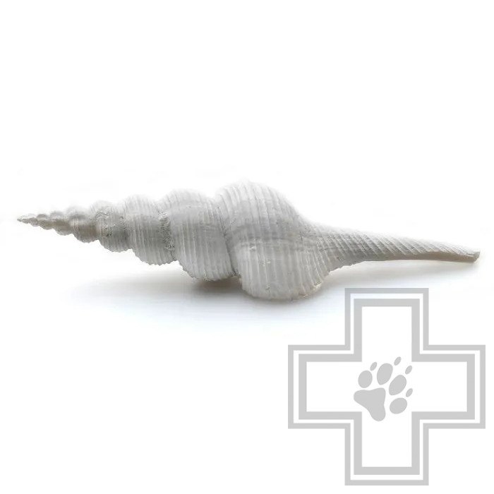 PRIME Декорация для аквариума "Ракушка спиральная"