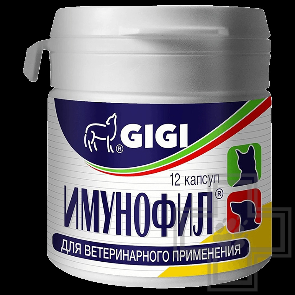 Имунофил препарат для укрепления иммунитета