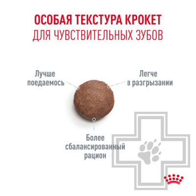 Royal Canin Senior Ageing 11+ Корм для взрослых кошек старше 11 лет