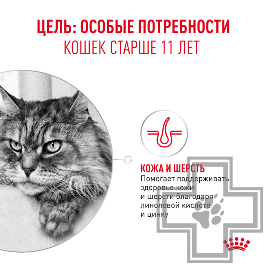 Royal Canin Senior Ageing 11+ Корм для взрослых кошек старше 11 лет