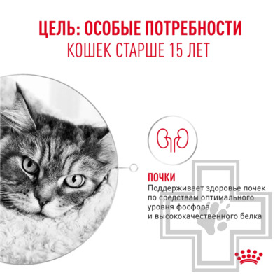 Royal Canin Ageing +15 Пресервы для взрослых кошек старше 15 лет, в соусе