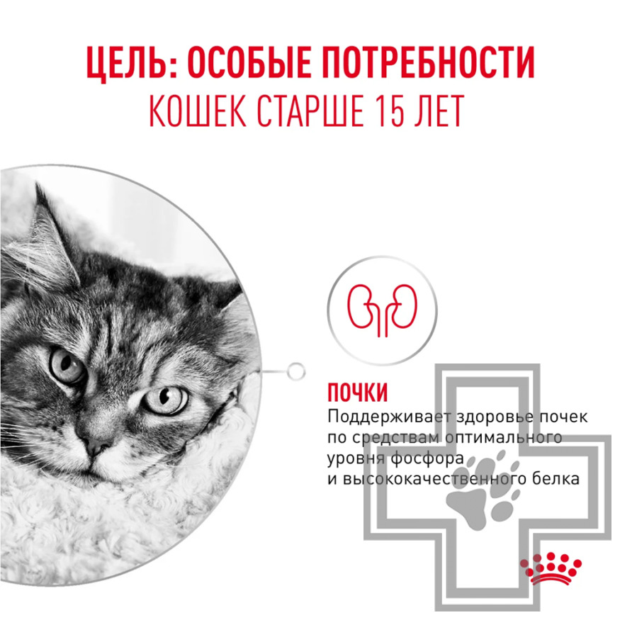 Royal Canin Ageing +15 Пресервы для взрослых кошек старше 15 лет, в соусе Royal Canin Ageing +15 Пресервы для взрослых кошек старше 15 лет, в соусе