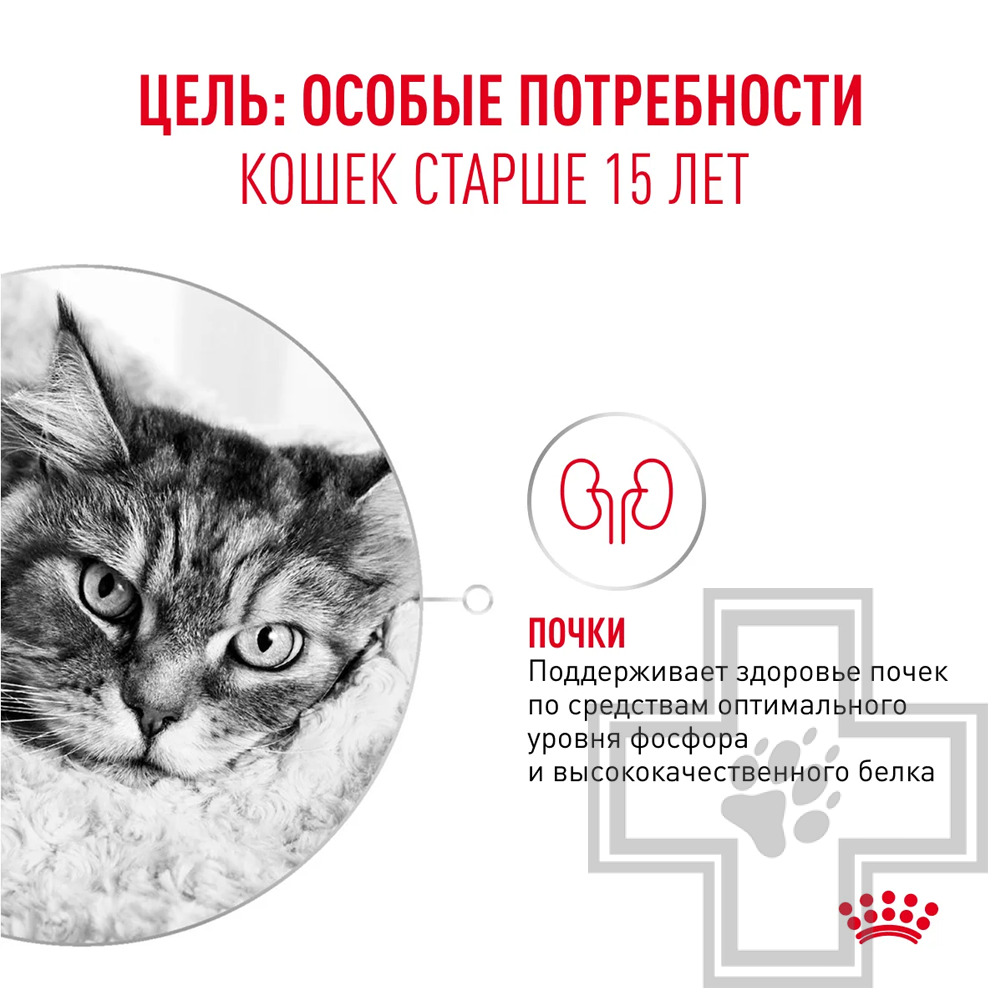 Royal Canin Ageing +15 Пресервы для взрослых кошек старше 15 лет, в соусе