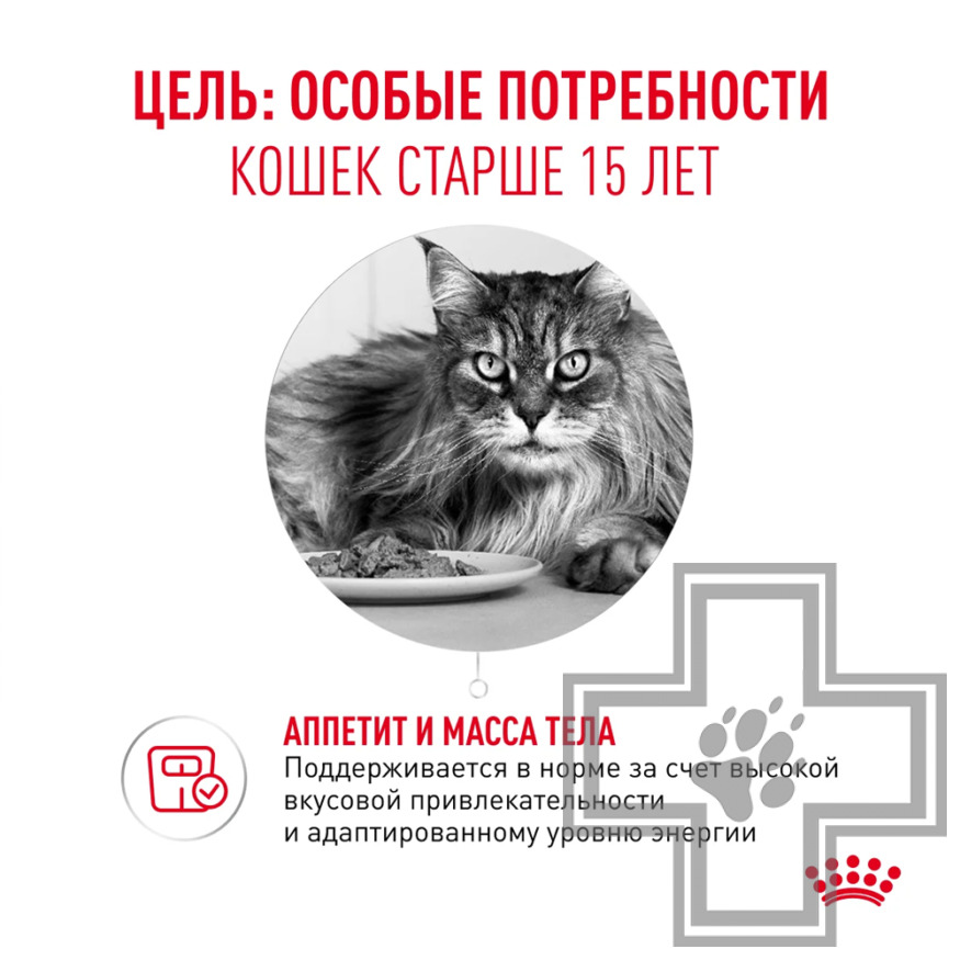 Royal Canin Ageing +15 Пресервы для взрослых кошек старше 15 лет, в соусе Royal Canin Ageing +15 Пресервы для взрослых кошек старше 15 лет, в соусе