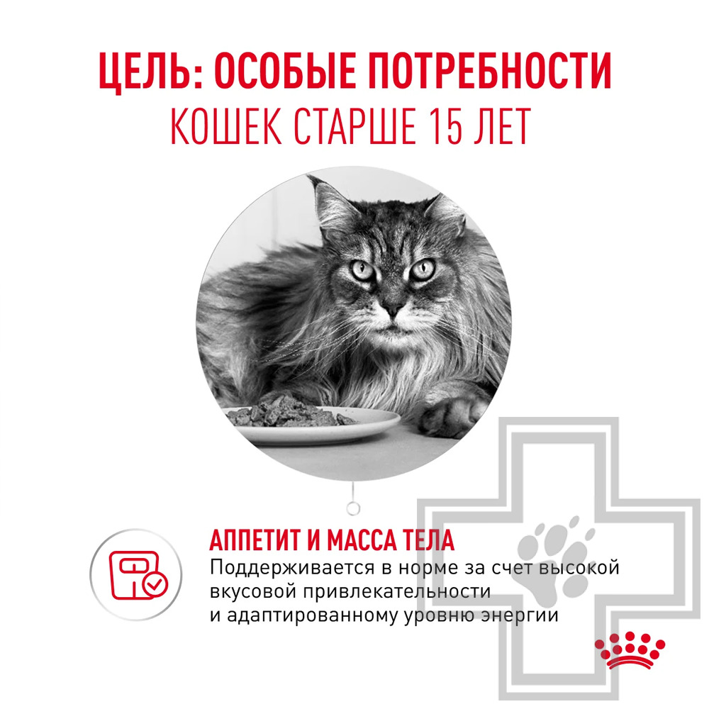 Royal Canin Ageing +15 Пресервы для взрослых кошек старше 15 лет, в соусе