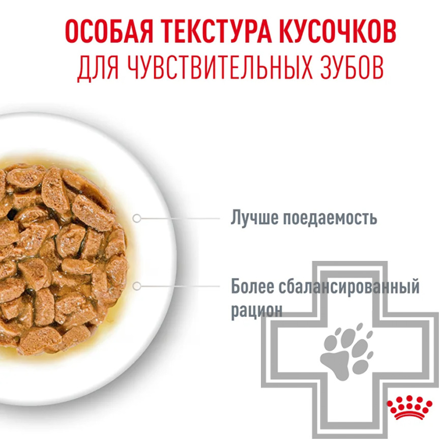Royal Canin Ageing +15 Пресервы для взрослых кошек старше 15 лет, в соусе