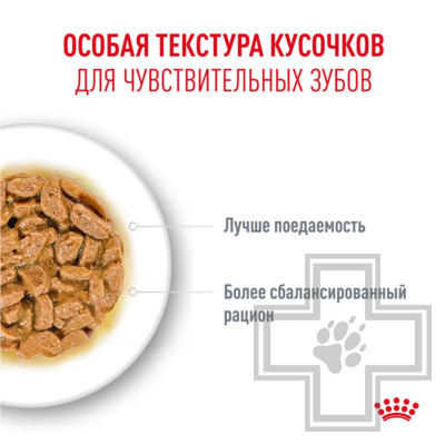 Royal Canin Ageing +11 Пресервы для взрослых кошек старше 11 лет, в желе
