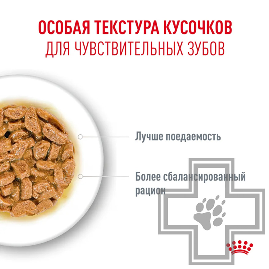 Royal Canin Ageing +11 Пресервы для взрослых кошек старше 11 лет, в желе