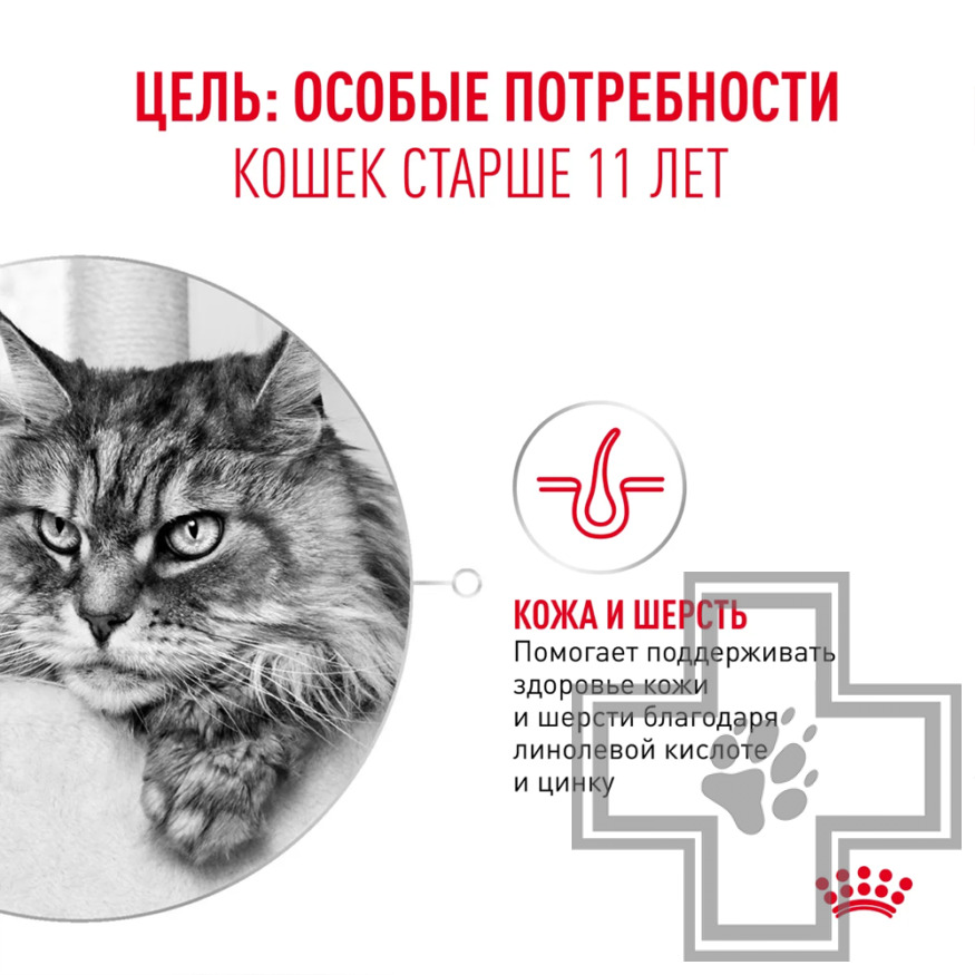 Royal Canin Ageing +11 Пресервы для взрослых кошек старше 11 лет, в желе