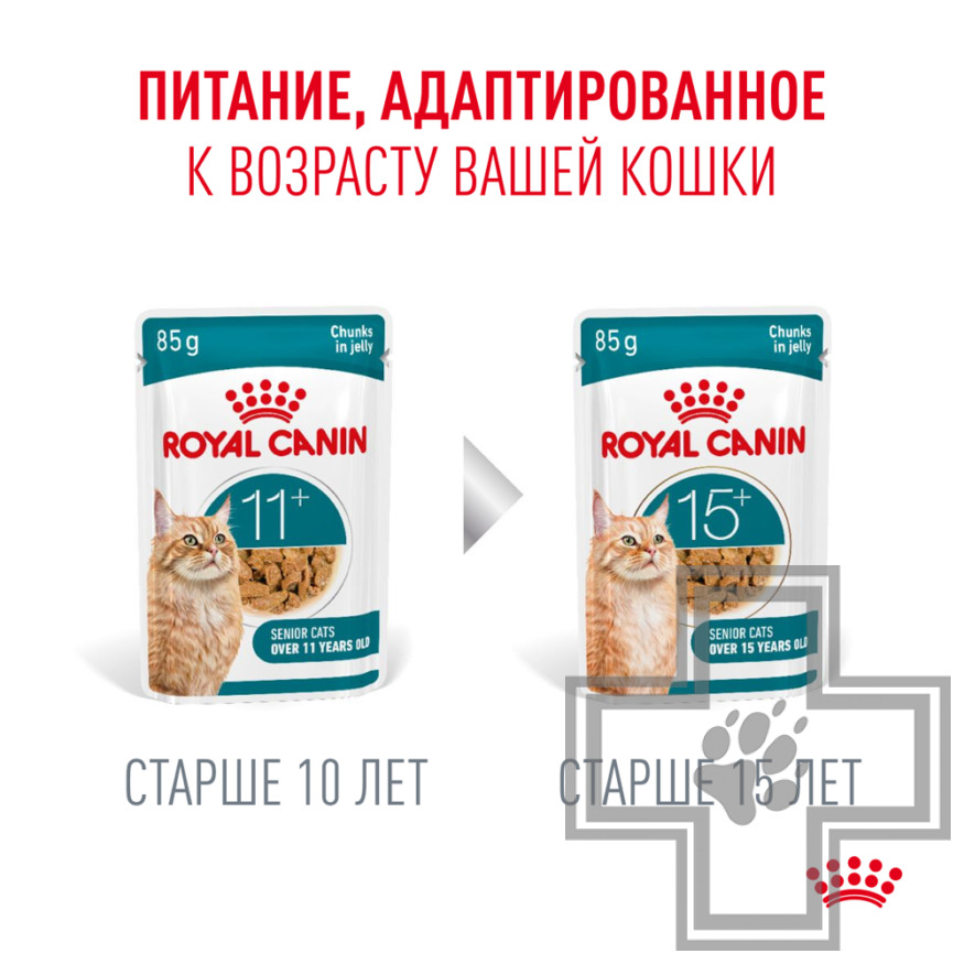 Royal Canin Ageing +11 Пресервы для взрослых кошек старше 11 лет, в желе