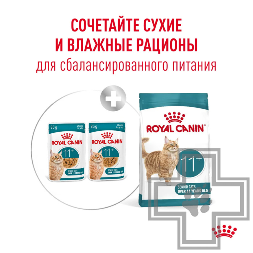 Royal Canin Ageing +11 Пресервы для взрослых кошек старше 11 лет, в желе
