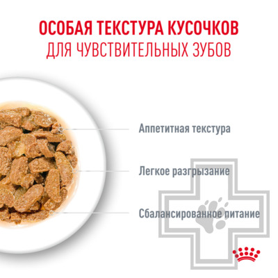 Royal Canin Ageing +11 Пресервы для взрослых кошек старше 11 лет, в соусе