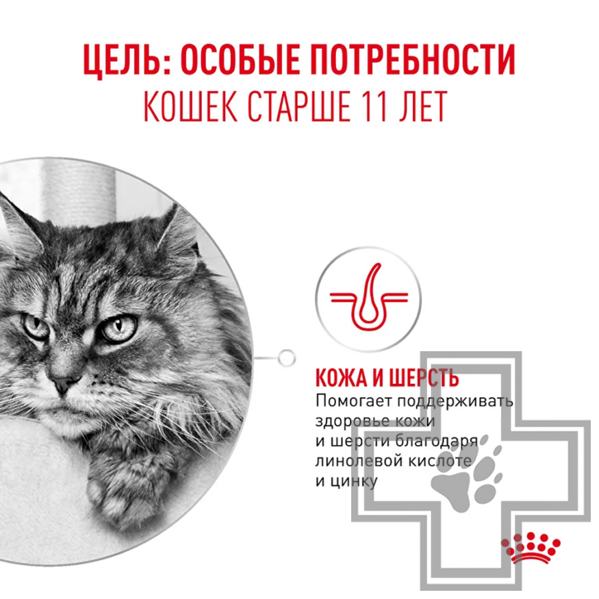 Royal Canin Ageing +11 Пресервы для взрослых кошек старше 11 лет, в соусе