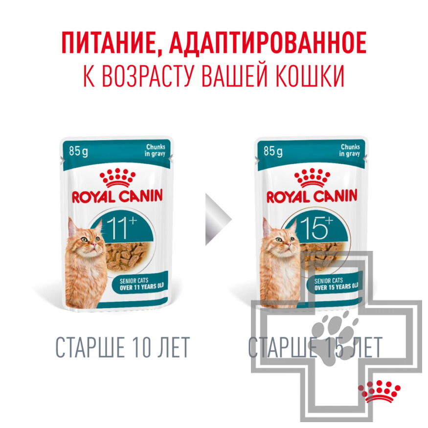 Royal Canin Ageing +11 Пресервы для взрослых кошек старше 11 лет, в соусе