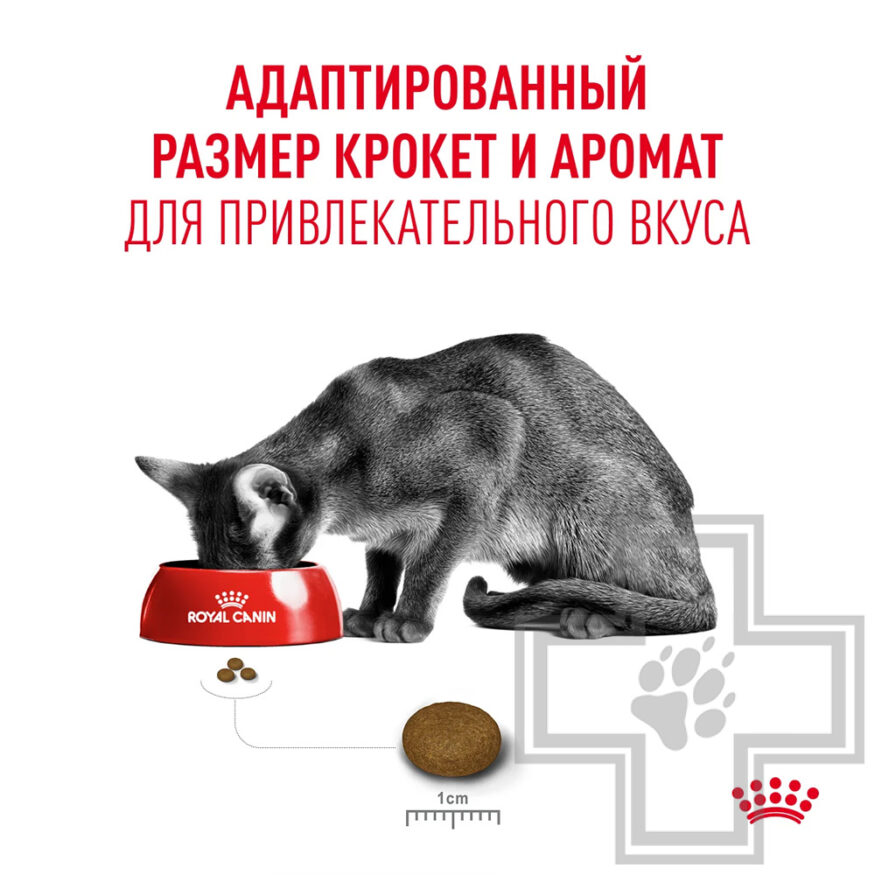 Royal Canin Fussy Exigent Корм для взрослых привередливых кошек