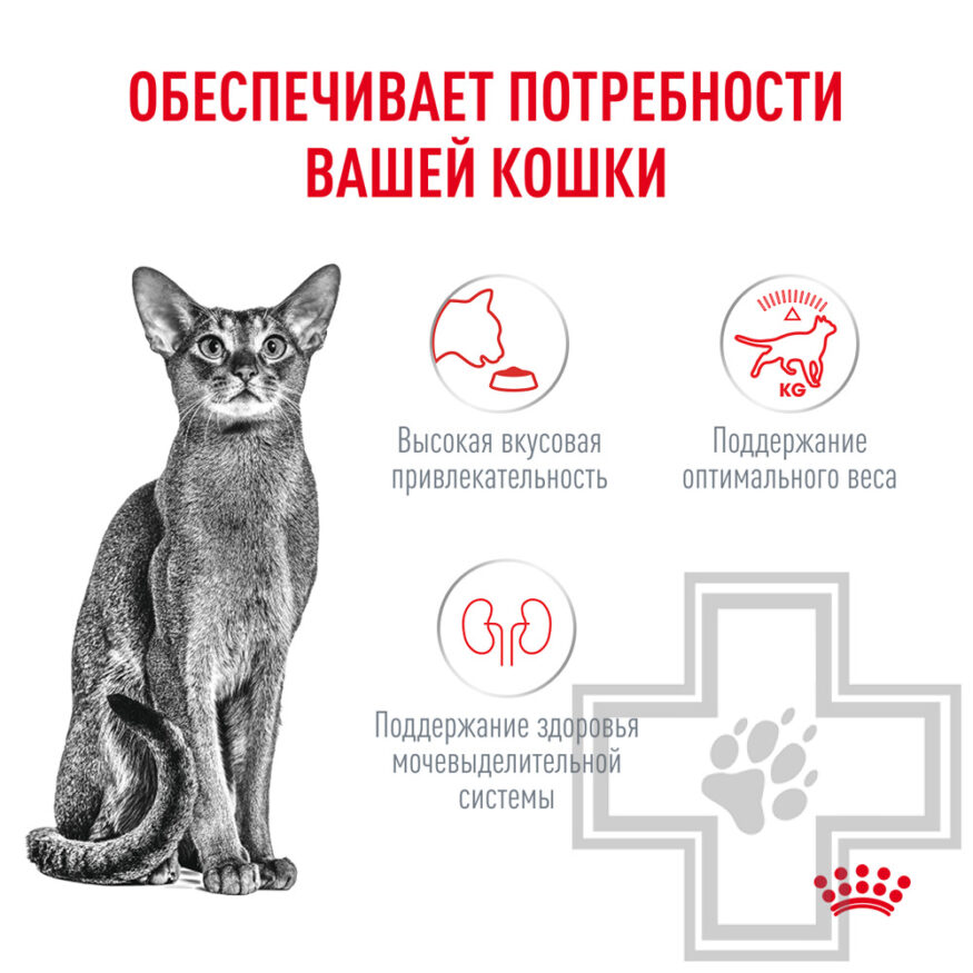 Royal Canin Fussy Exigent Корм для взрослых привередливых кошек