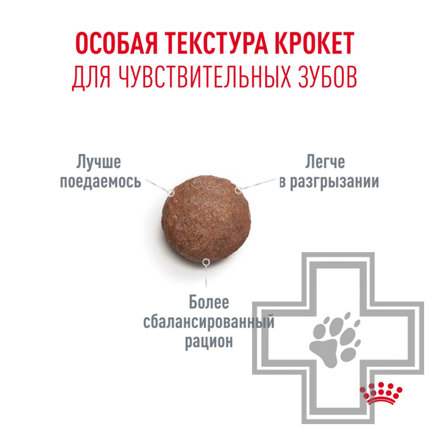 Royal Canin Senior Ageing 15+ Корм для взрослых кошек старше 15 лет