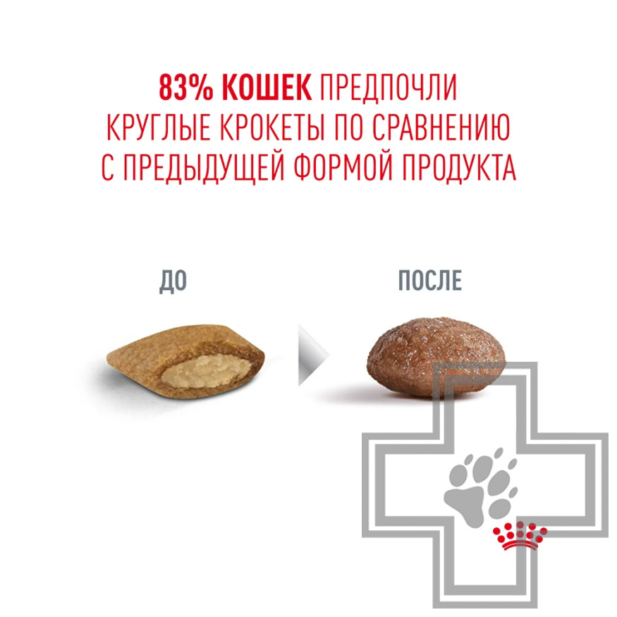 Royal Canin Senior Ageing 15+ Корм для взрослых кошек старше 15 лет
