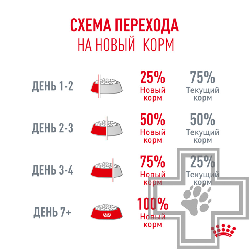 Royal Canin Senior Ageing 15+ Корм для взрослых кошек старше 15 лет