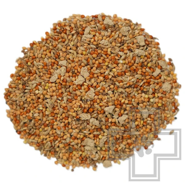 Bambini Pets Корм для экзотических птиц Bambini Pets Корм для экзотических птиц