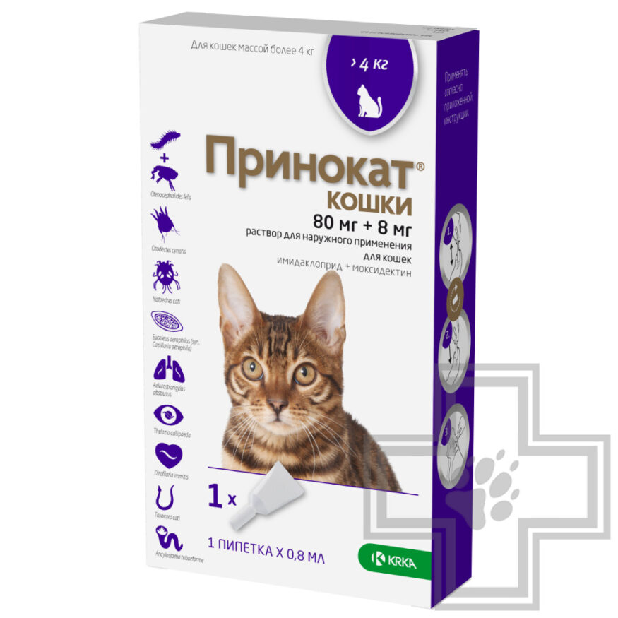 Принокат Противопаразитарный и антигельминтный препарат для кошек Принокат Противопаразитарный и антигельминтный препарат для кошек