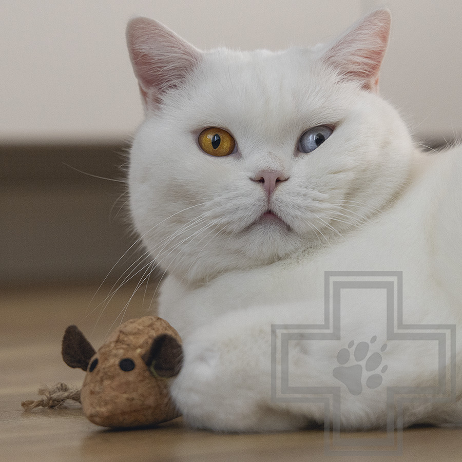 Beeztees Игрушка «Мышка с кошачьей мятой» для кошек