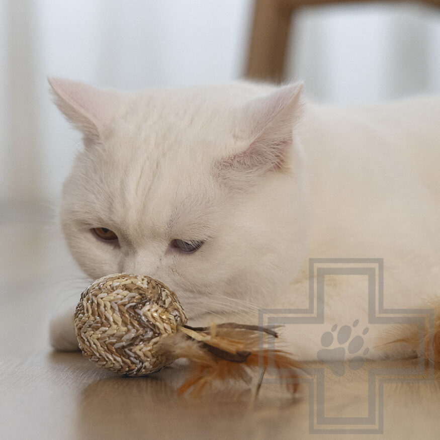 Beeztees Игрушка «Мячик Tuxa» для кошек