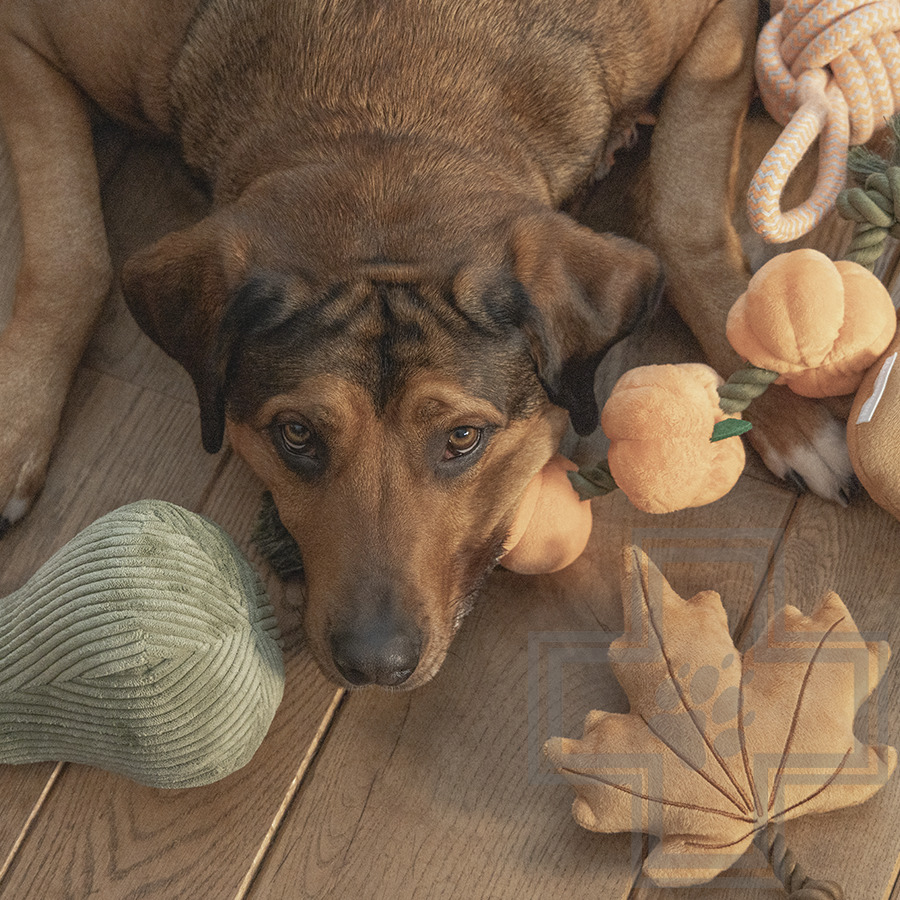 Beeztees Игрушка «Лист с канатом» для собак