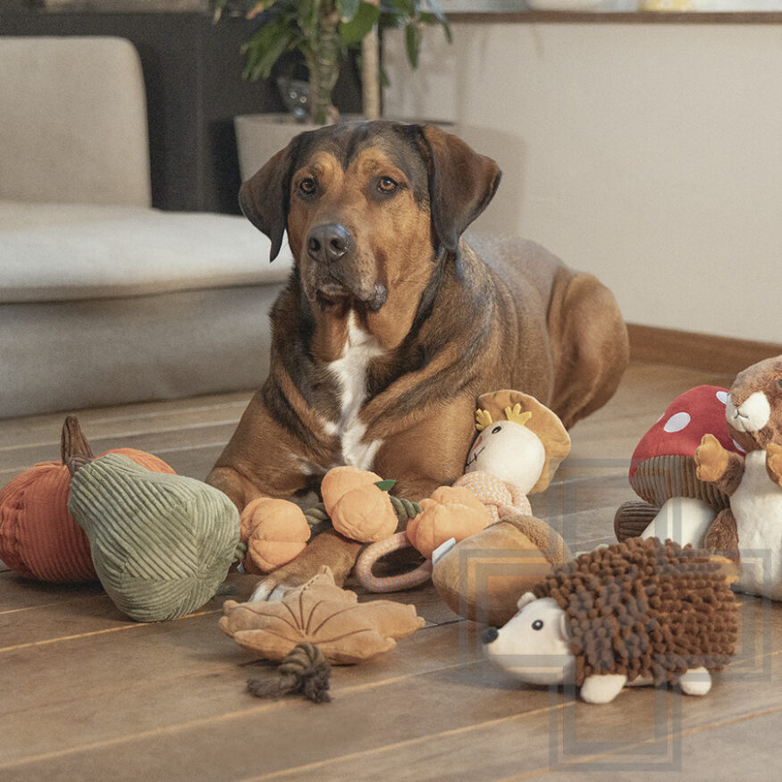 Beeztees Игрушка «Лист с канатом» для собак Beeztees Игрушка «Лист с канатом» для собак