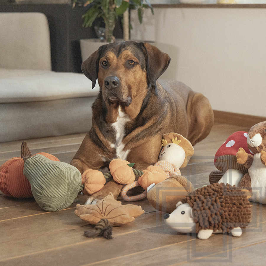 Beeztees Игрушка «Лист с канатом» для собак