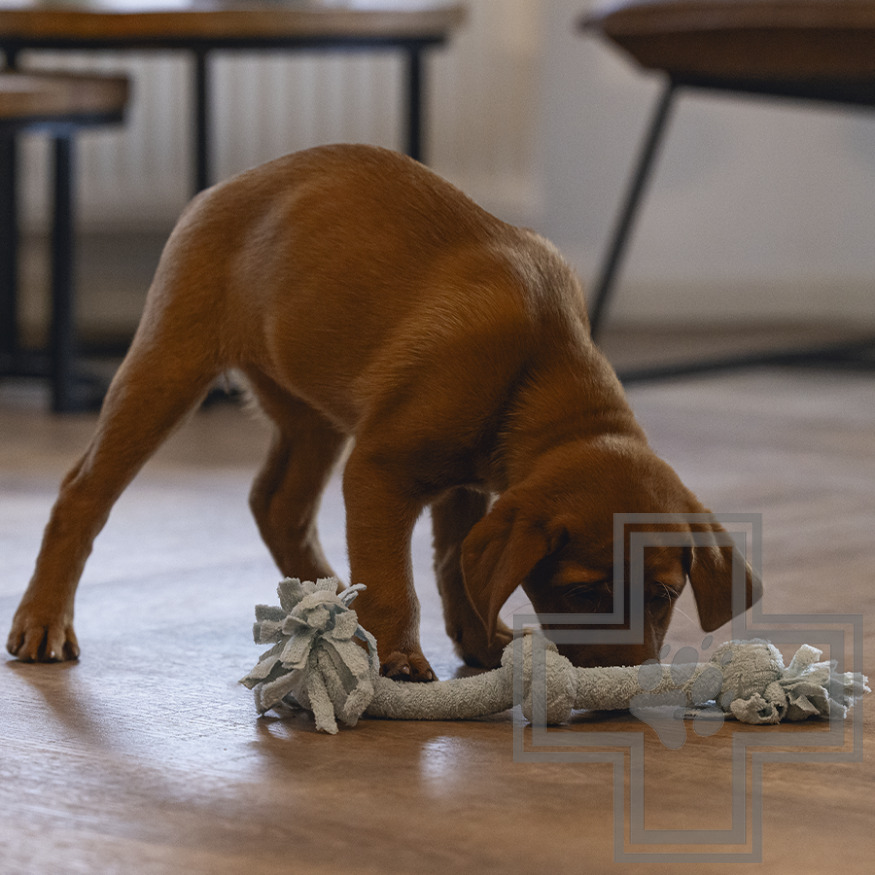 Beeztees Игрушка «Канат с тремя узлами» для щенков, голубая Beeztees Игрушка «Канат с тремя узлами» для щенков, голубая