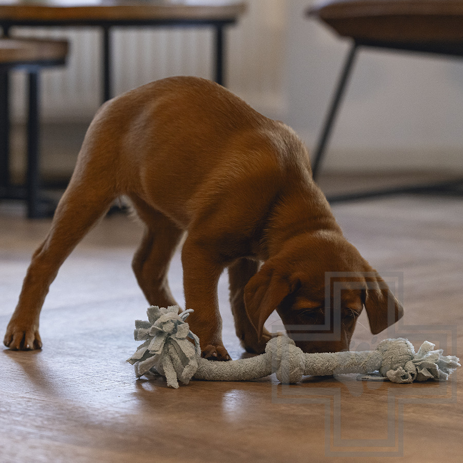 Beeztees Игрушка «Канат с тремя узлами» для щенков, голубая