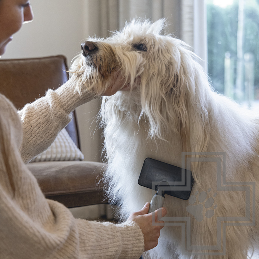 Beeztees Пуходерка для собак средних пород, 18 см