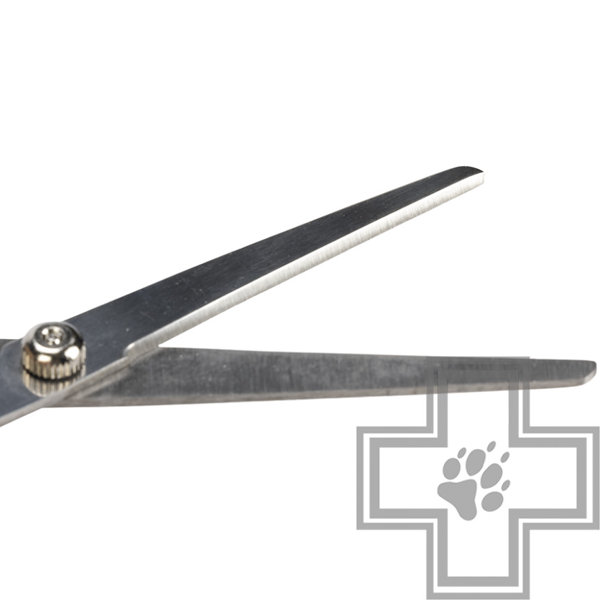 Beeztees Ножницы для груминга собак, черные