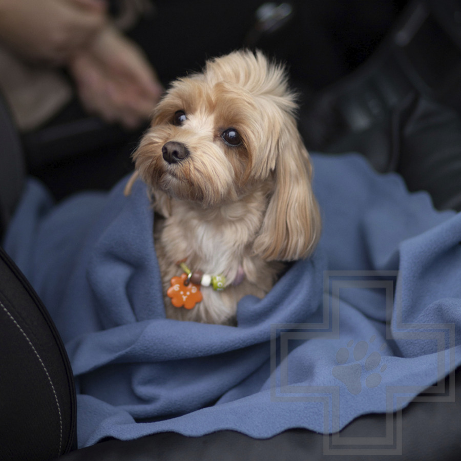 УЮТНЫЙ ПЛЕД Плед флисовый для кошек и собак