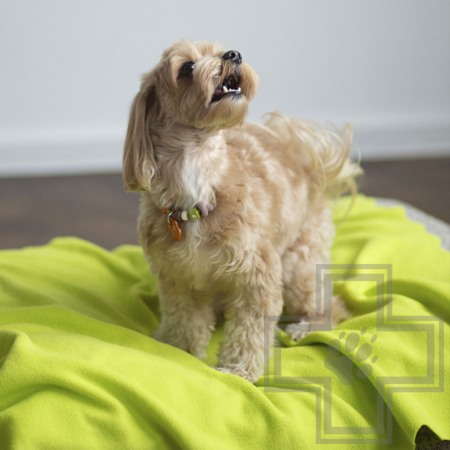 УЮТНЫЙ ПЛЕД Плед флисовый для кошек и собак