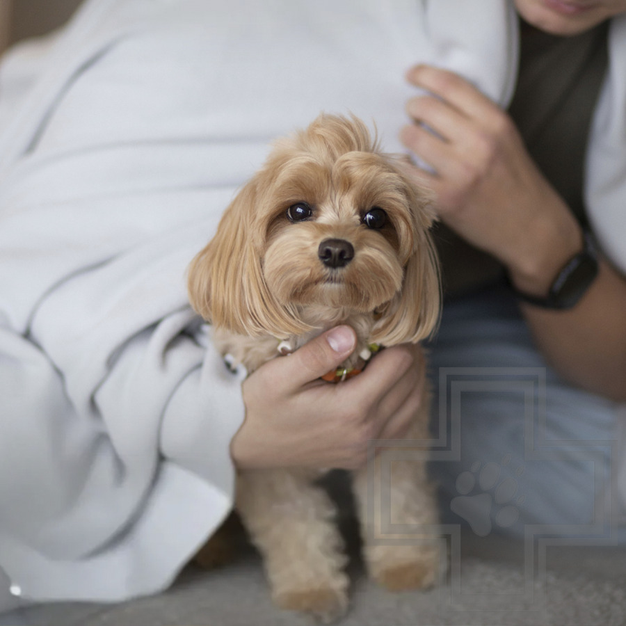 УЮТНЫЙ ПЛЕД Плед флисовый для кошек и собак