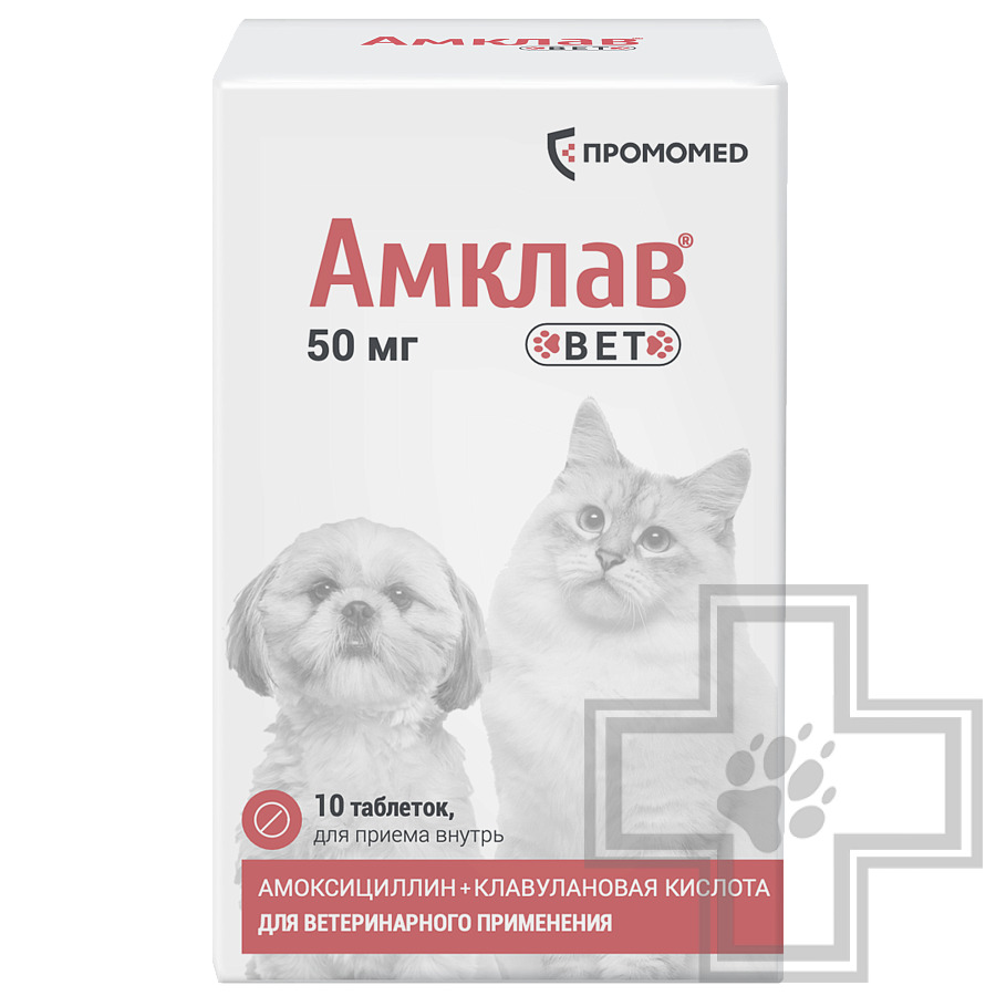 Амклав Вет Антибактериальные таблетки для кошек и собак мелких пород