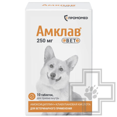 Амклав Вет Антибактериальные таблетки для собак