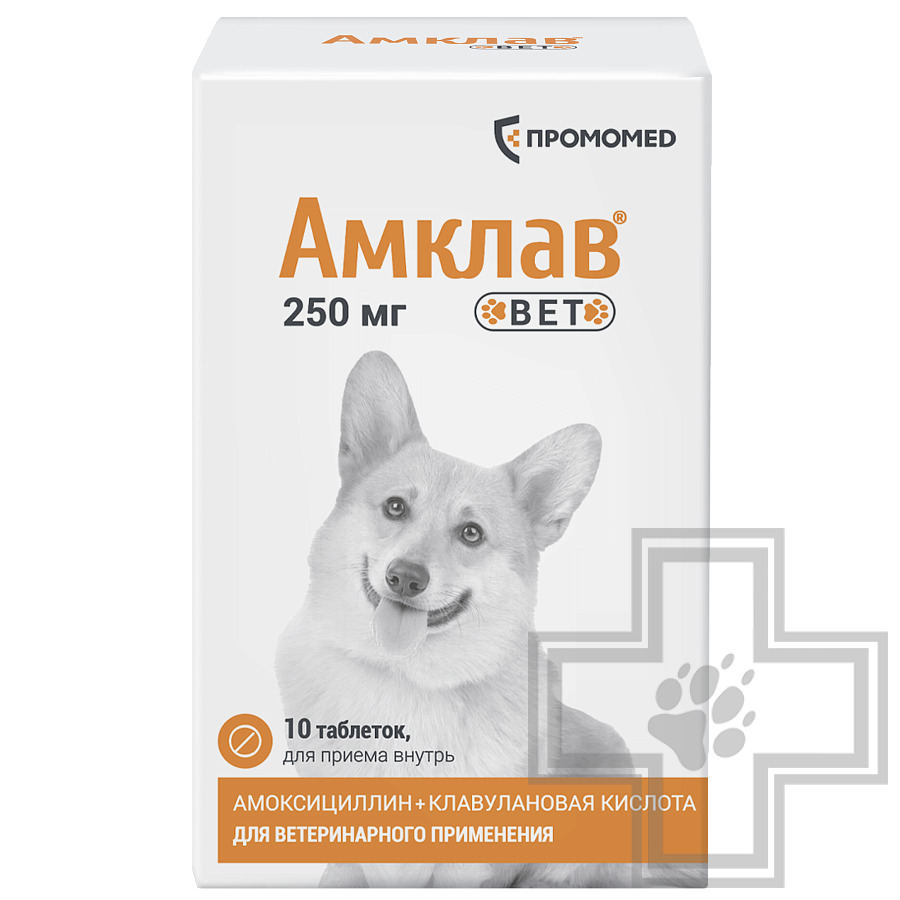 Амклав Вет Антибактериальные таблетки для собак