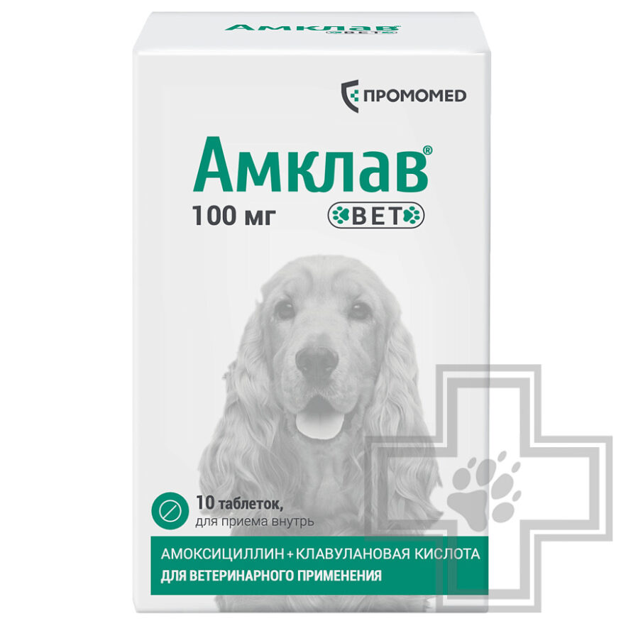 Амклав Вет Антибактериальные таблетки для собак Амклав Вет Антибактериальные таблетки для собак
