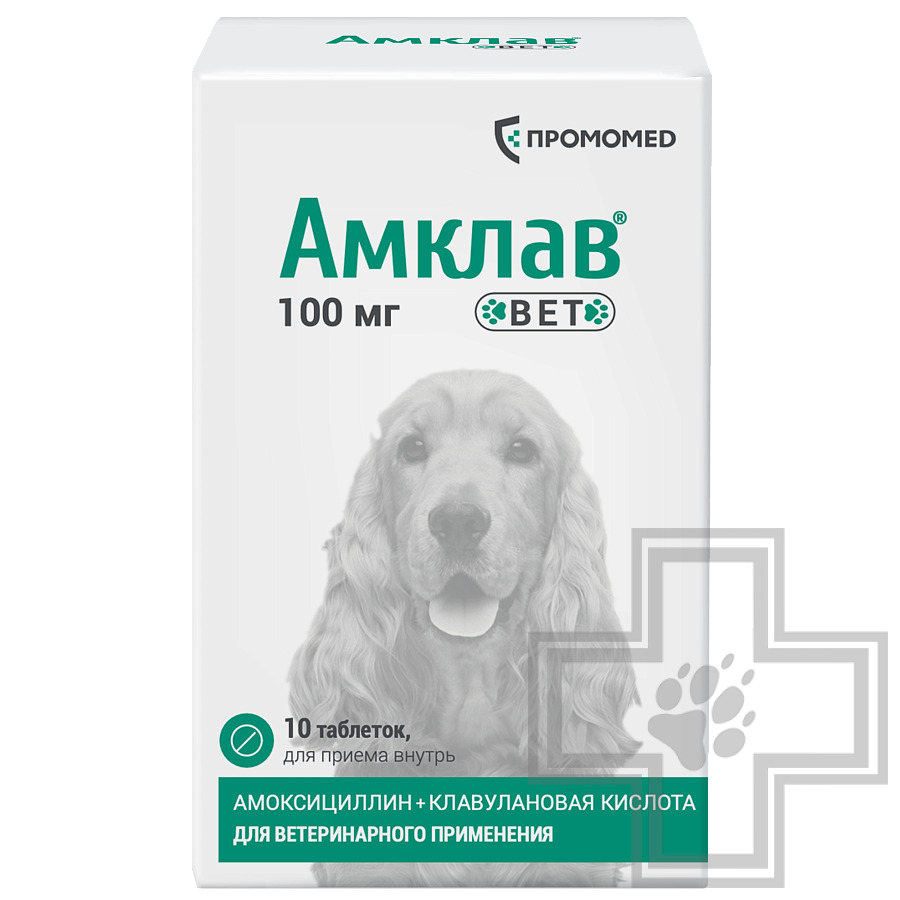 Амклав Вет Антибактериальные таблетки для собак